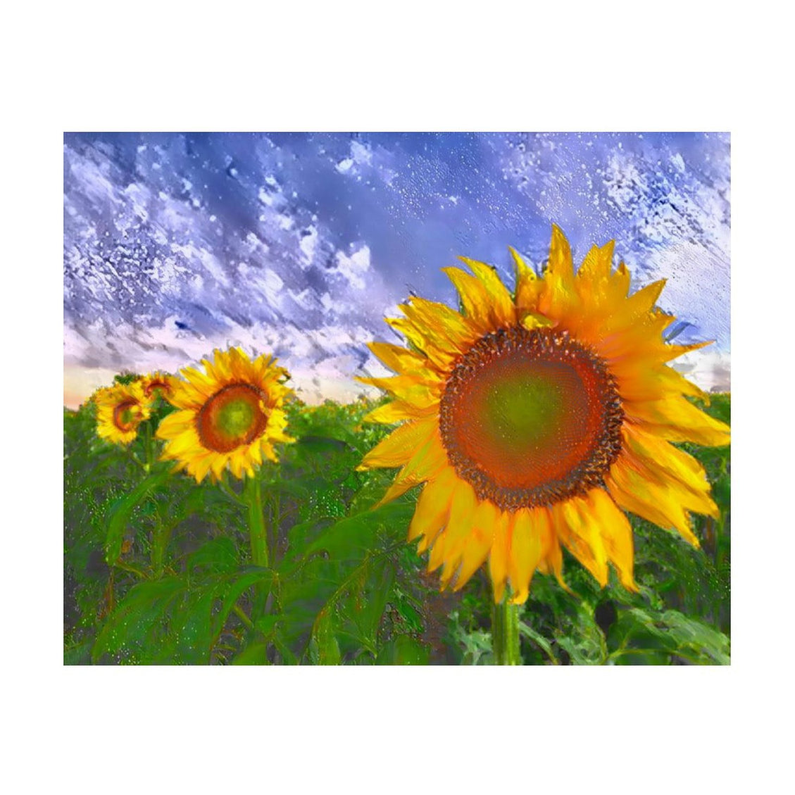 Design Diamond Painting 20"×16"(Horizontal) Sunflowers South Dakota