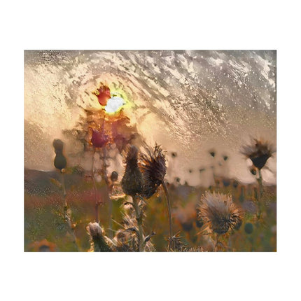 Design Diamond Painting 20"×16"(Horizontal) Sunset on a Gravel Road Wildflowers
