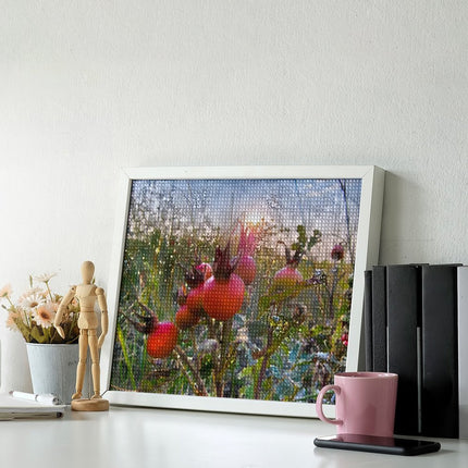 Design Diamond Painting 20"×16"(Horizontal) Rose Hips