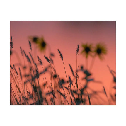 Design Diamond Painting 20"×16"(Horizontal) Wildflowers Along the River Bank