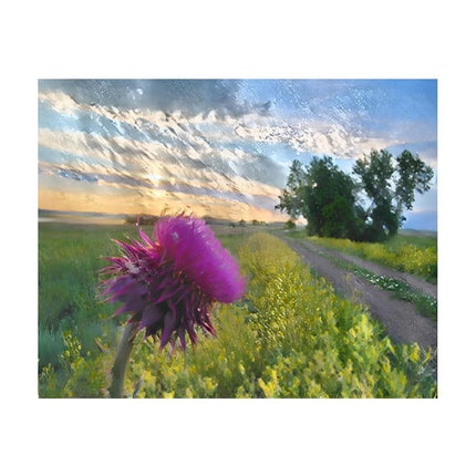 Design Diamond Painting 20"×16"(Horizontal) Thistle Shadehill Reservoir