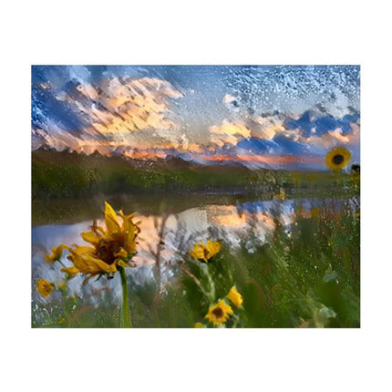 Design Diamond Painting 20"×16"(Horizontal) Sunflowers South Grand River