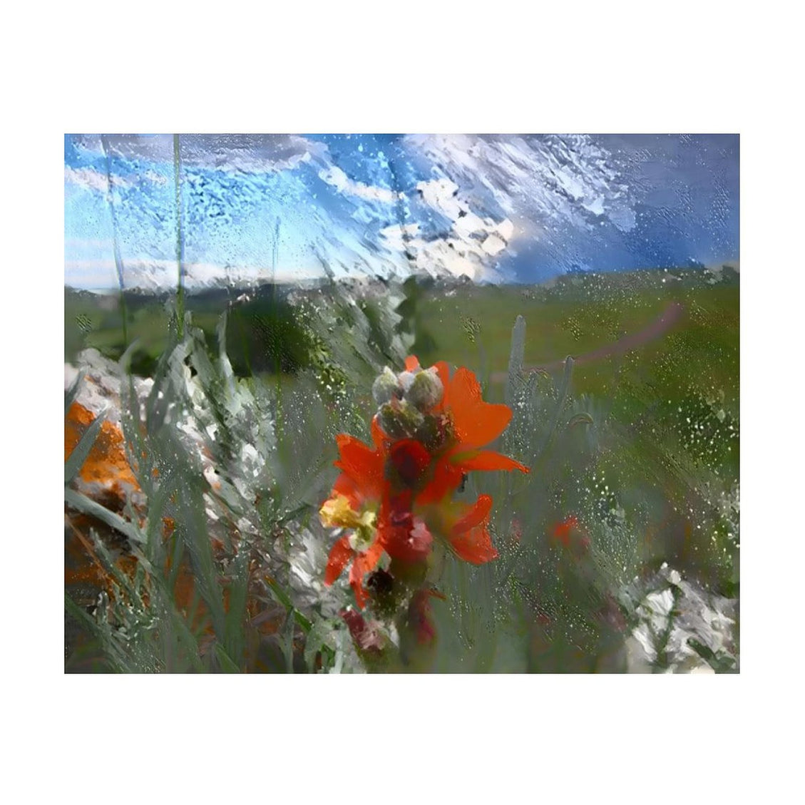 Design Diamond Painting 20"×16"(Horizontal) Globe Mallow on a Gravel Road