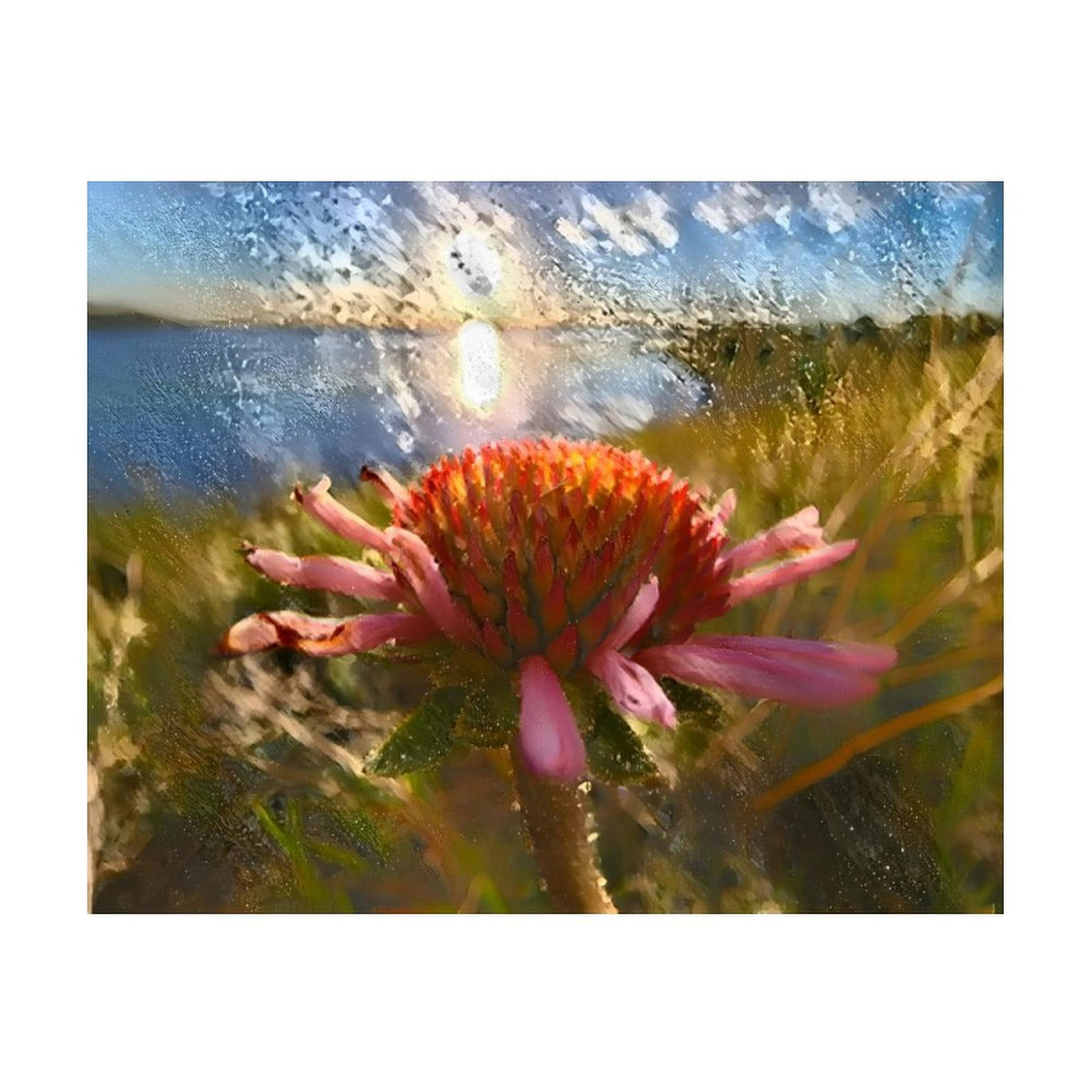 Design Diamond Painting 20"×16"(Horizontal) Purple Cone Flower Shadehill Reservoir