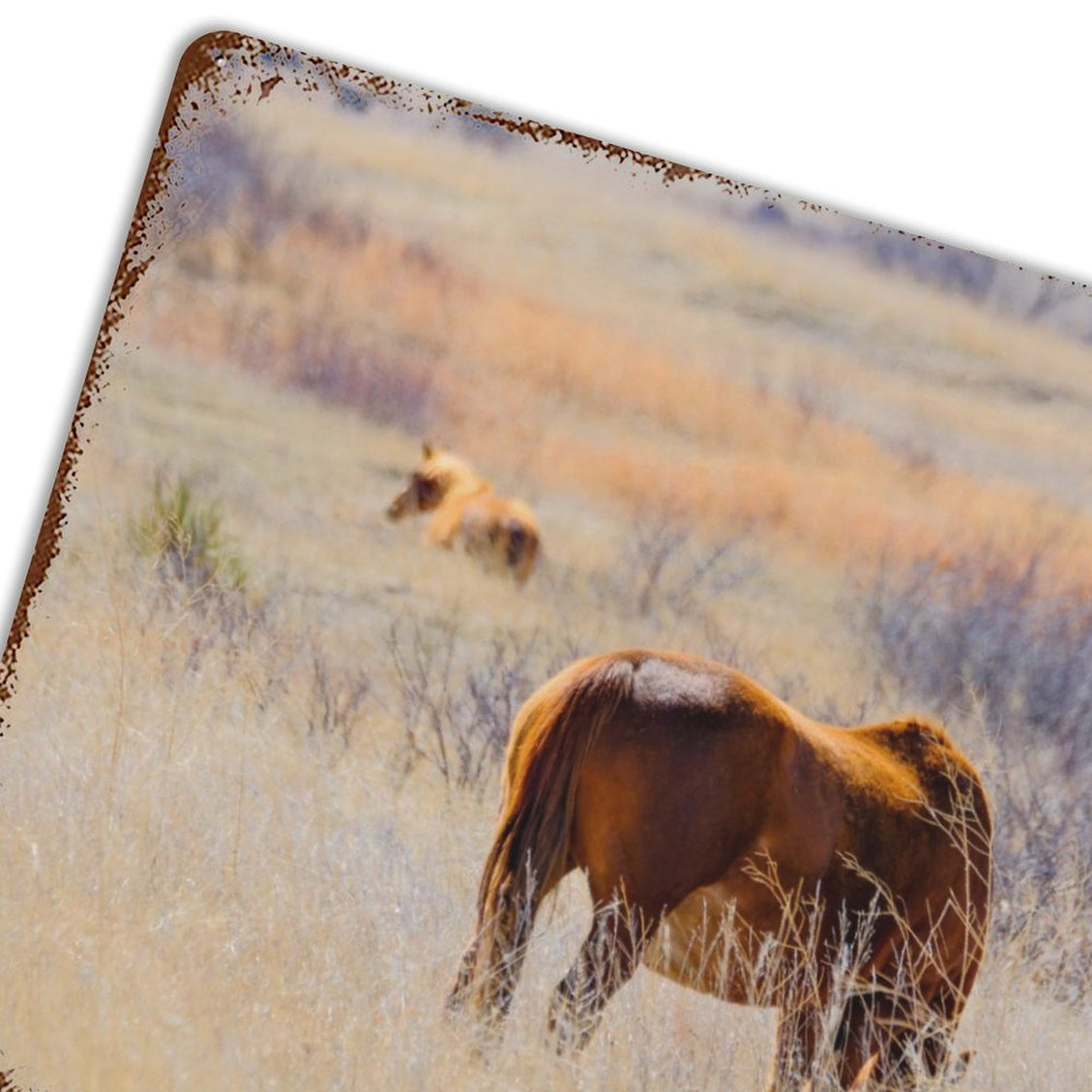Design Rusty Metal Sign(Horizontal) 11.8"×15.7"