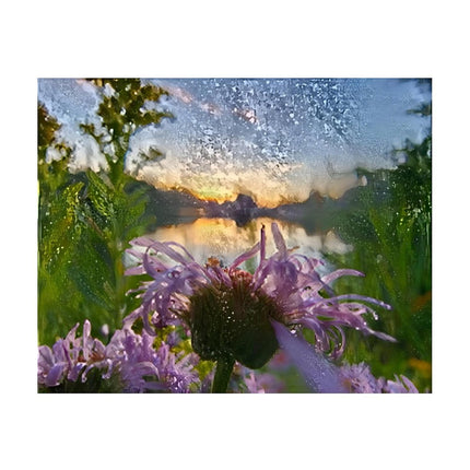 Design Diamond Painting 20"×16"(Horizontal) Sunset on Sylvan Lake