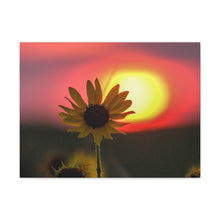 Load image into Gallery viewer, Canvas Gallery Wraps Sunflower Sunset Western South Dakota
