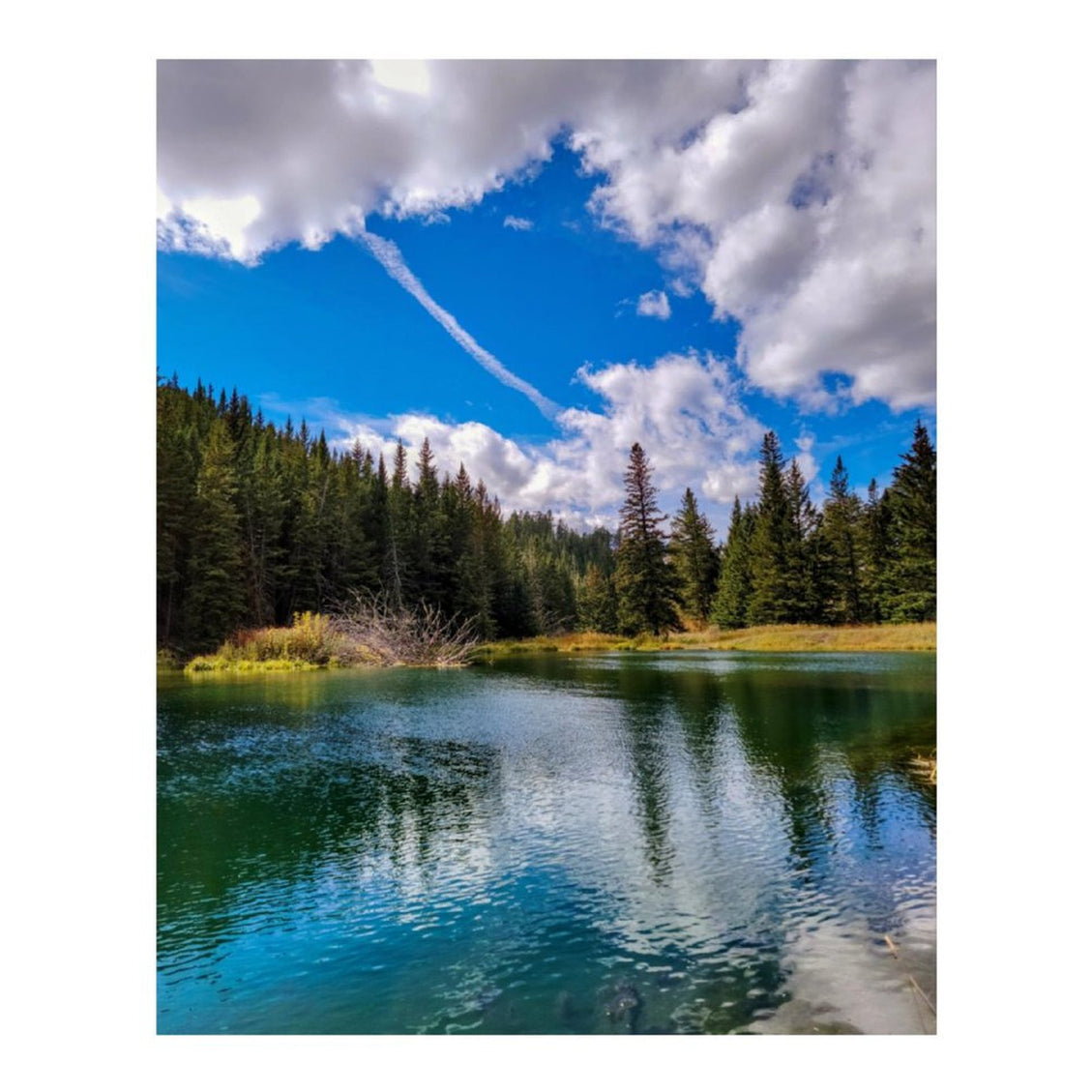 Design Diamond Painting 16"×20"(Vertical) Wyoming