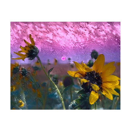 Design Diamond Painting 20"×16"(Horizontal) Sunflower Smokey Sunset II