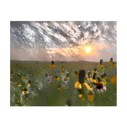 Design Diamond Painting 20"×16"(Horizontal) Wildflowers on the Prairie South Grand River II