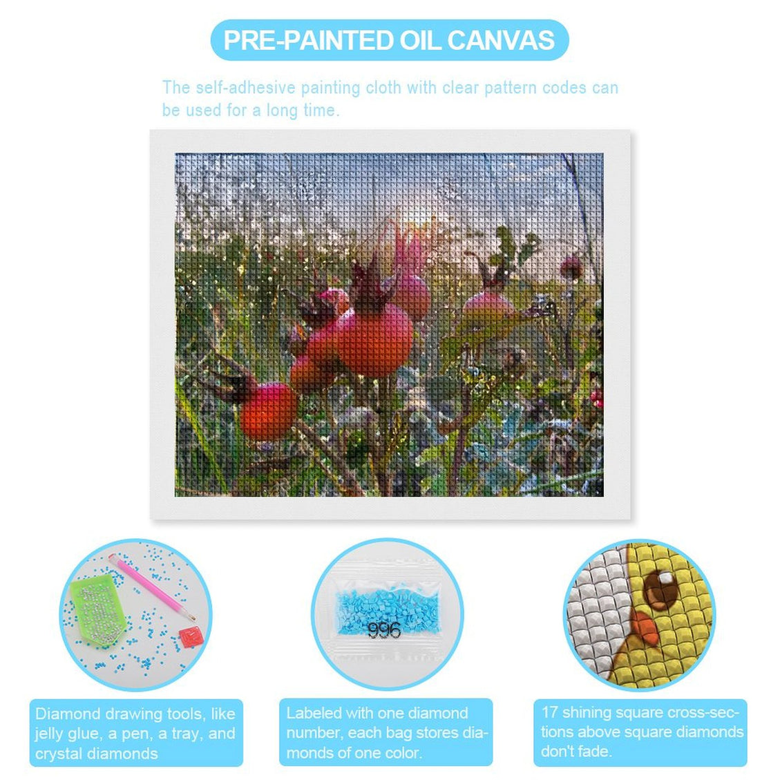 Design Diamond Painting 20"×16"(Horizontal) Rose Hips