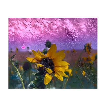 Design Diamond Painting 20"×16"(Horizontal) Sunflower Smokey Sunset