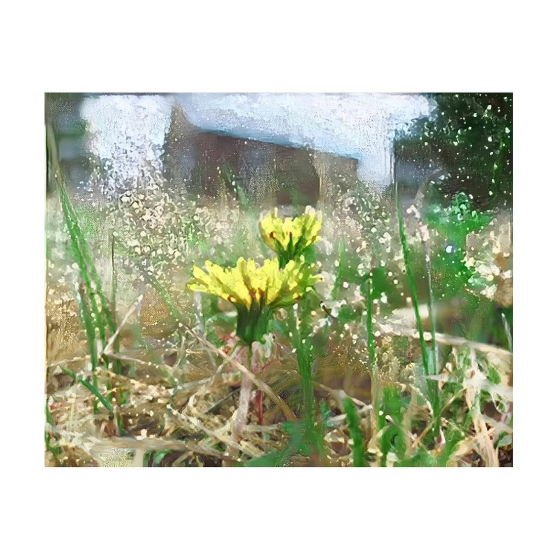 Design Diamond Painting 20"×16"(Horizontal) Dandelions on a Rainy Day