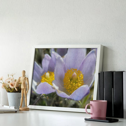 Design Diamond Painting 20"×16"(Horizontal) Pasque
