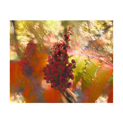 Design Diamond Painting 20"×16"(Horizontal) Sumac in Spearfish Canyon