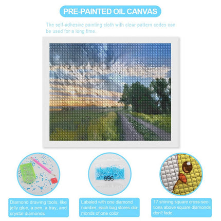 Design Diamond Painting 20"×16"(Horizontal) Trail at Shadehill Reservoir