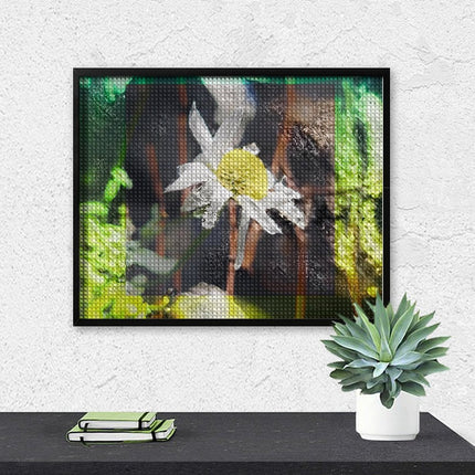 Design Diamond Painting 20"×16"(Horizontal) Daisy in Spearfish Canyon II