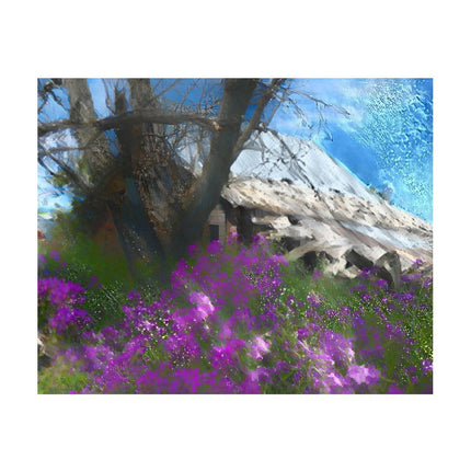 Design Diamond Painting 20"×16"(Horizontal) Dames Rocket Barn