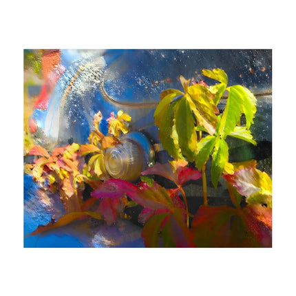 Design Diamond Painting 20"×16"(Horizontal) Classic Car Fall Leaves