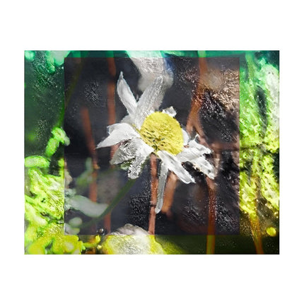 Design Diamond Painting 20"×16"(Horizontal) Daisy in Spearfish Canyon II
