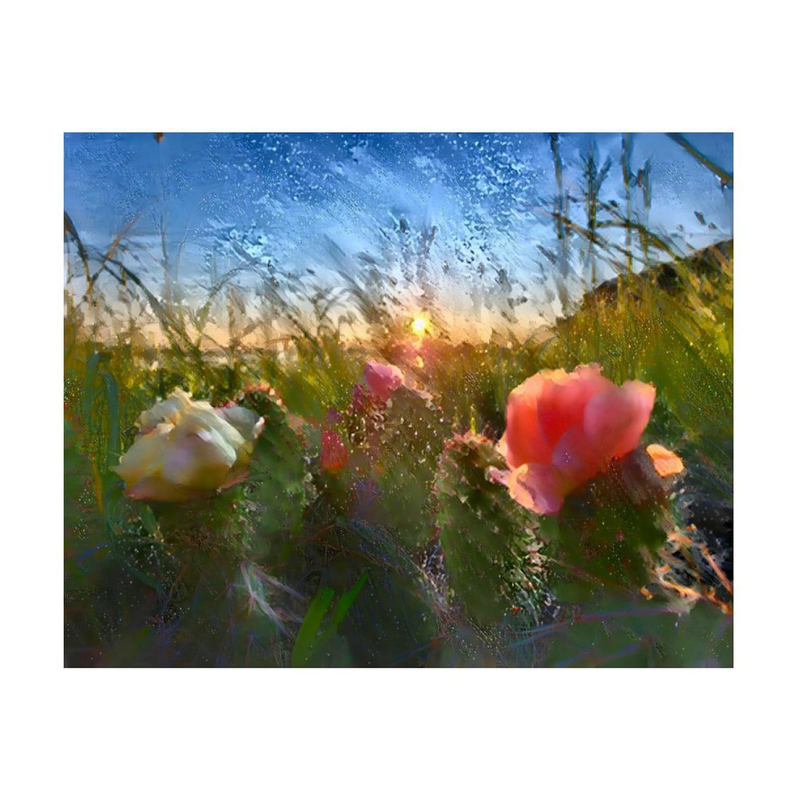 Design Diamond Painting 20"×16"(Horizontal) Cacti in Bloom Hugh Glass Park