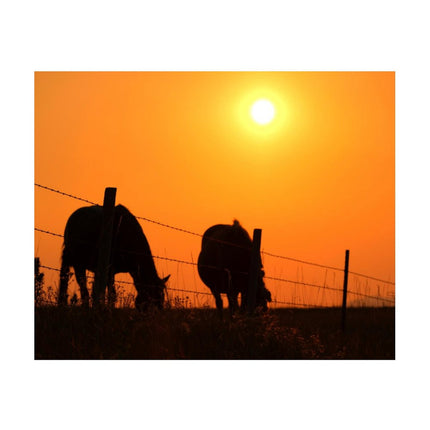 Design Diamond Painting 20"×16"(Horizontal) Horses at Sunset St. Onge