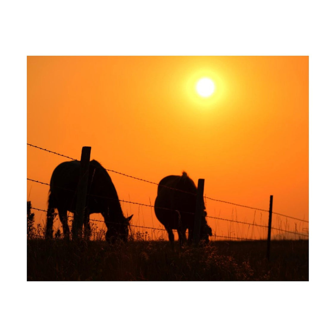 Design Diamond Painting 20"×16"(Horizontal) Horses at Sunset St. Onge