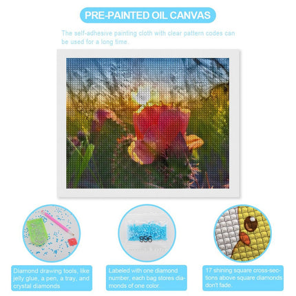 Design Diamond Painting 20"×16"(Horizontal) Blooming Cacti Hugh Glass Park