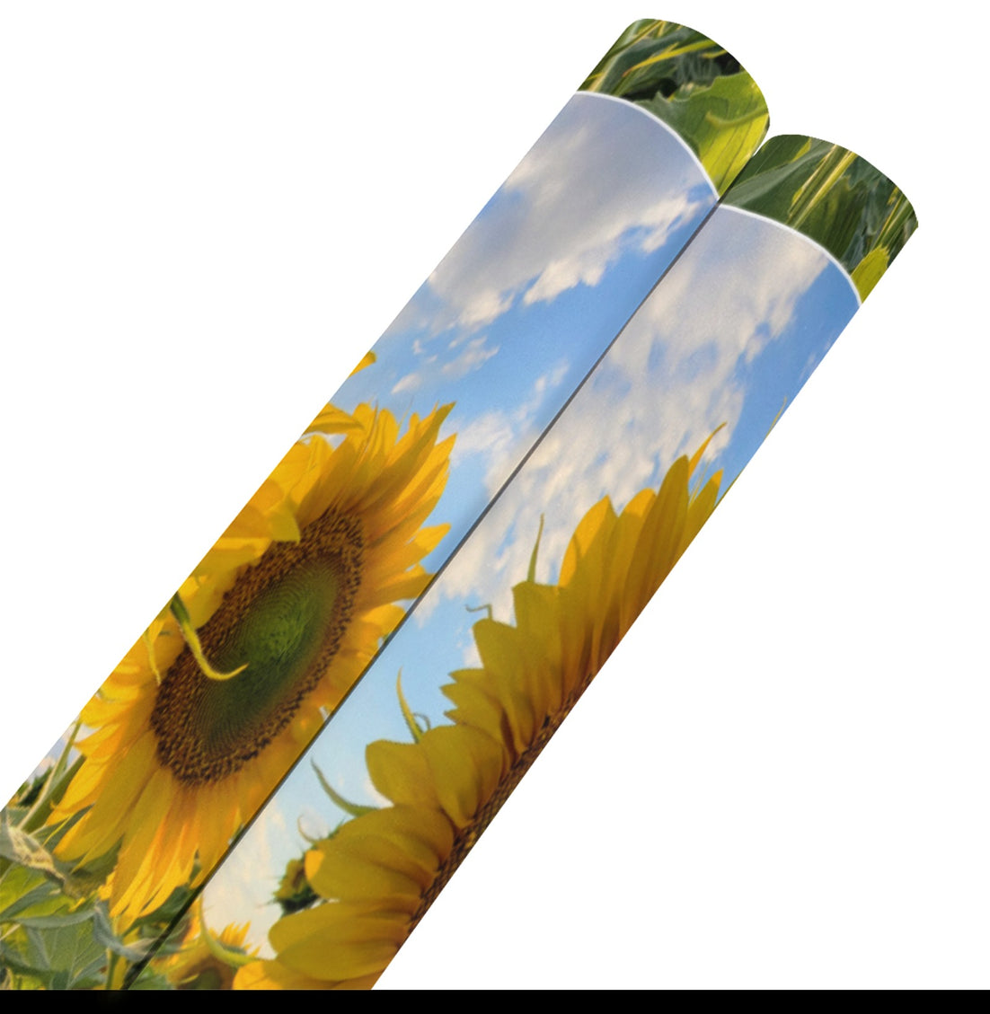 Gift Wrap 2 Rolls Sunflowers Blue Sky Gift Wrapping Paper 58"x 22.5"(2 Rolls)