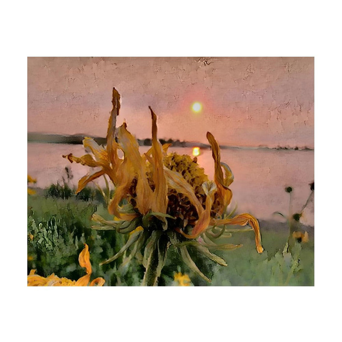 Design Diamond Painting 20"×16"(Horizontal) Sunflower Sunrise Owen Lake