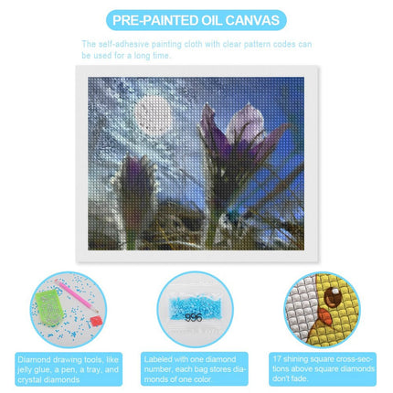 Design Diamond Painting 20"×16"(Horizontal) Pasque in Morning Sun
