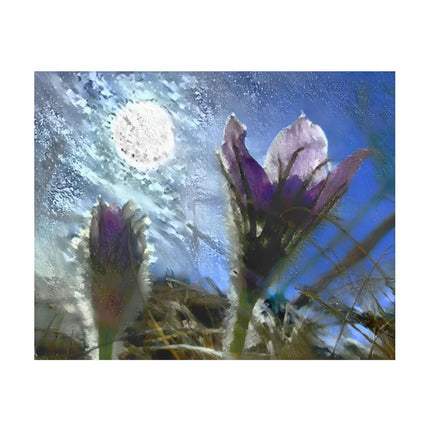Design Diamond Painting 20"×16"(Horizontal) Pasque in Morning Sun