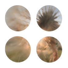 Load image into Gallery viewer, Dandelion in the Sun Sublimation Coasters Pack of Four
