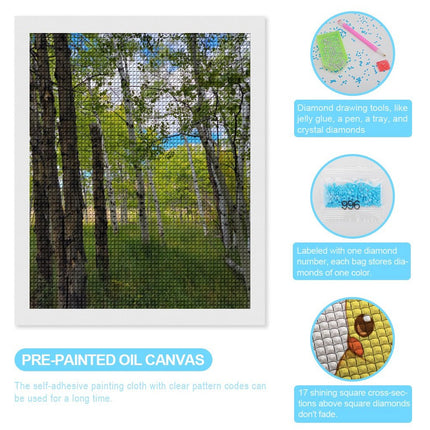 Design Diamond Painting 16"×20"(Vertical) Aspens in Wyoming