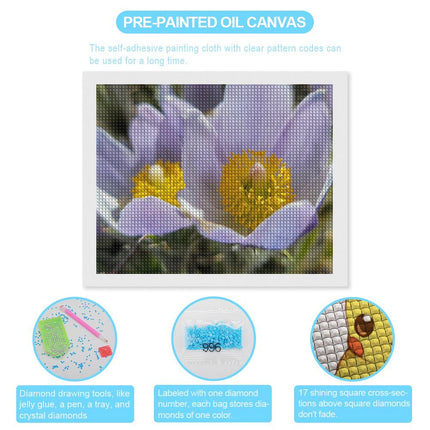 Design Diamond Painting 20"×16"(Horizontal) Pasque