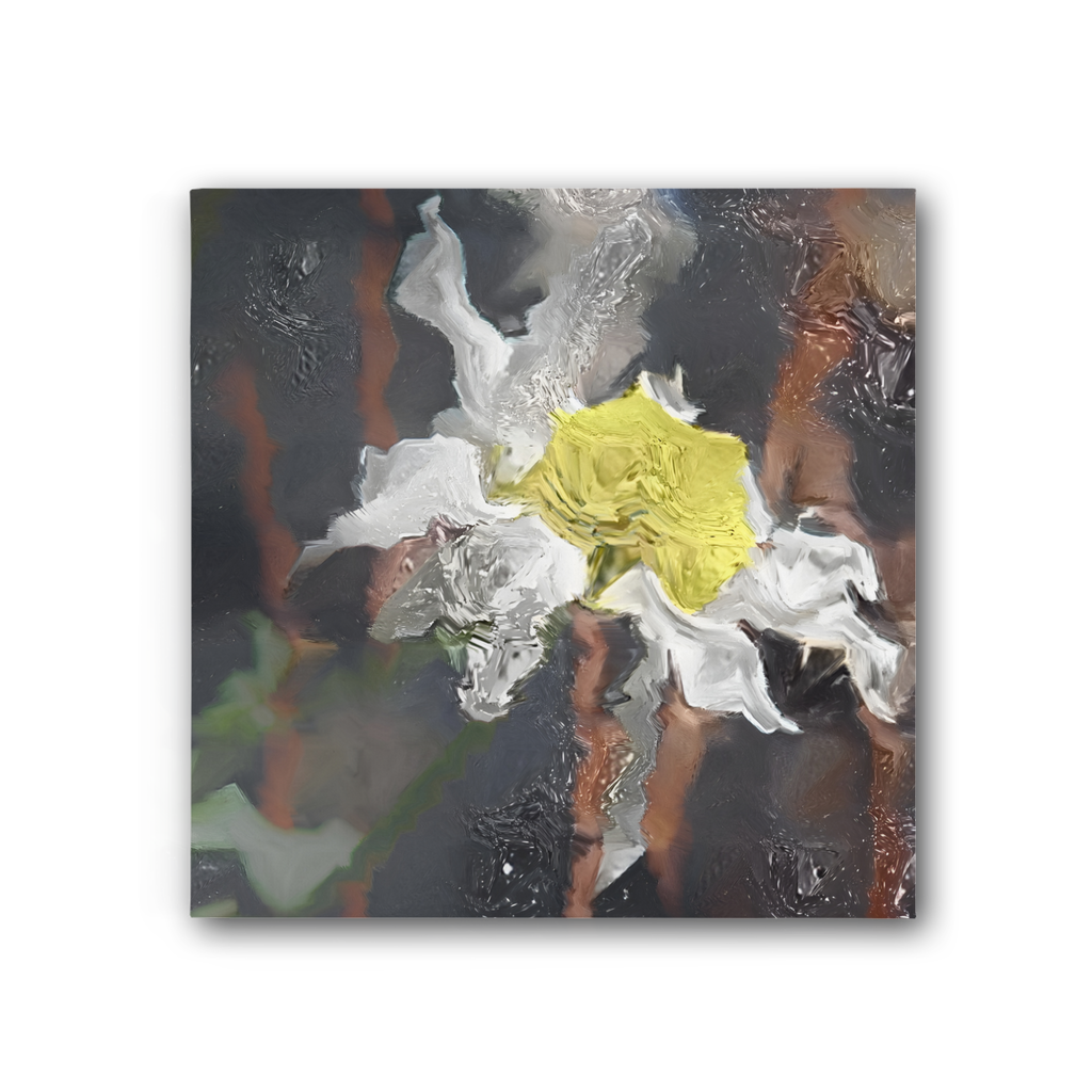 Daisy Premium Stretched Canvas