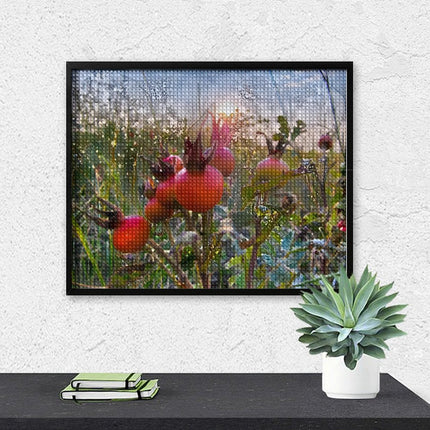 Design Diamond Painting 20"×16"(Horizontal) Rose Hips