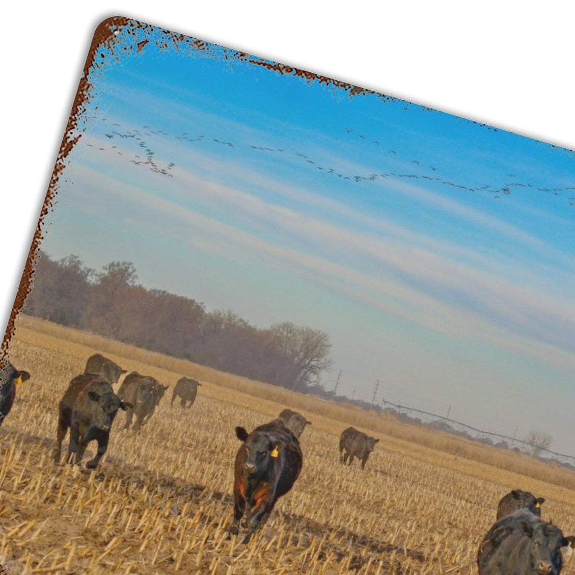 Design Rusty Metal Sign(Horizontal) 11.8"×15.7"