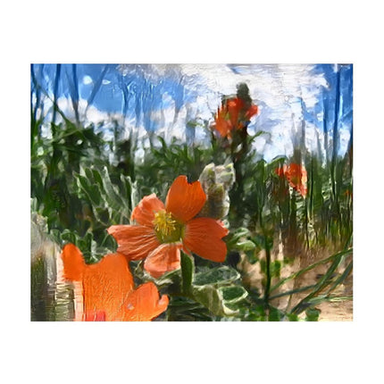 Design Diamond Painting 20"×16"(Horizontal) Globe Mallow on Golf Course Road
