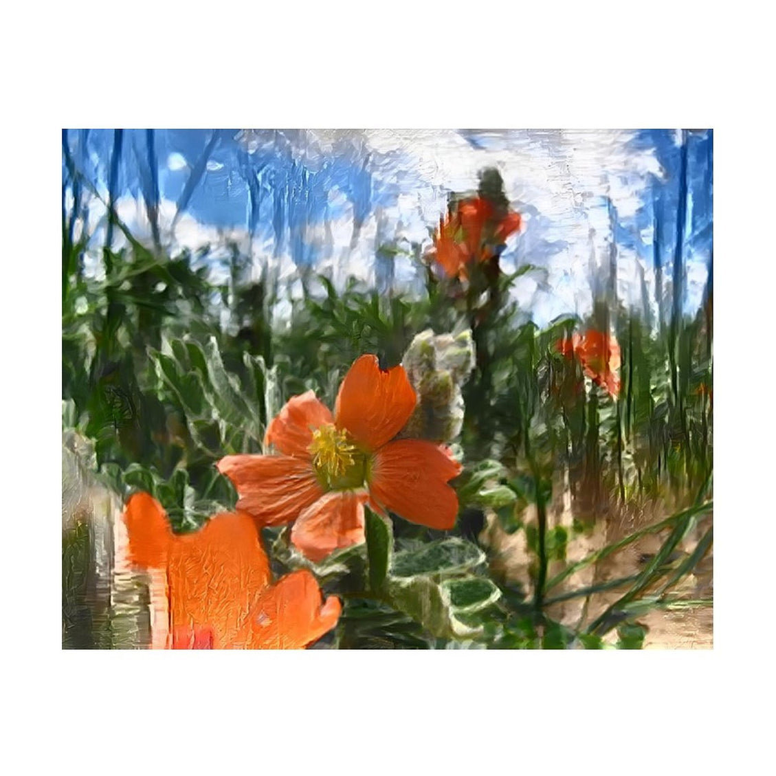 Design Diamond Painting 20"×16"(Horizontal) Globe Mallow on Golf Course Road