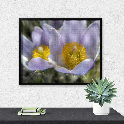 Design Diamond Painting 20"×16"(Horizontal) Pasque