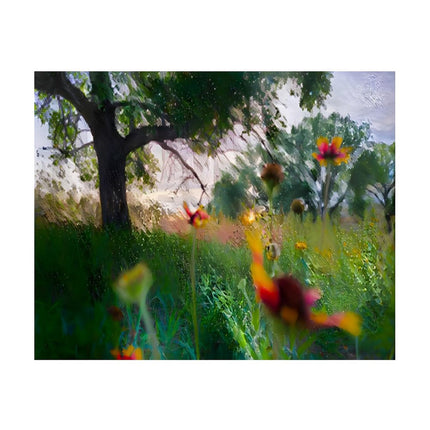 Design Diamond Painting 20"×16"(Horizontal) Wildflowers on the North Grand River