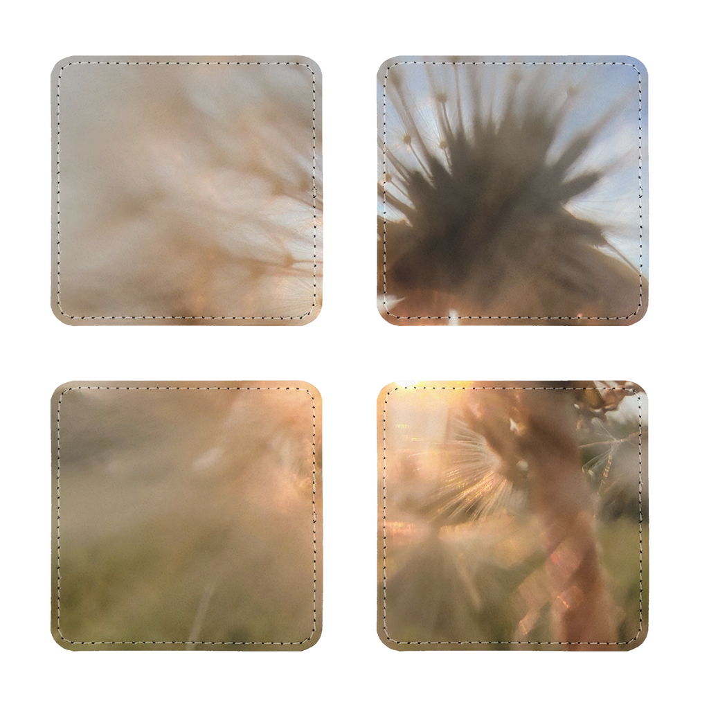 Dandelion in the Sun Sublimation Coasters Pack of Four