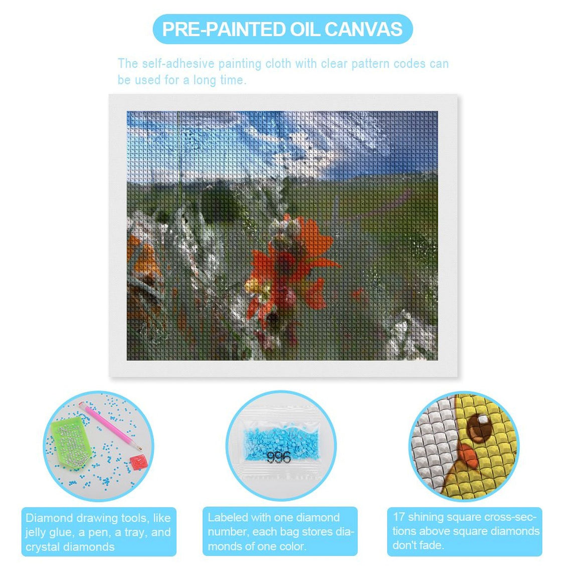 Design Diamond Painting 20"×16"(Horizontal) Globe Mallow on the Prairie