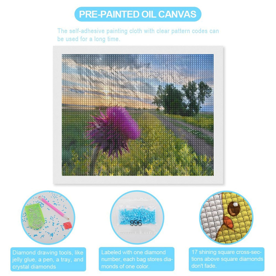Design Diamond Painting 20"×16"(Horizontal) Thistle Shadehill Reservoir