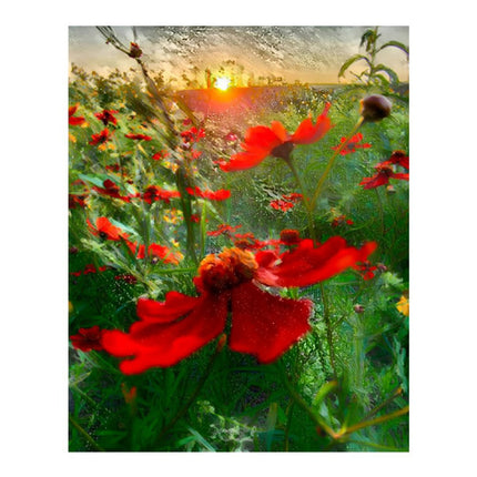 Design Diamond Painting 16"×20"(Vertical) Red Wildflowers Grand River
