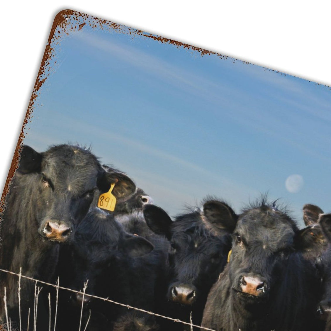 Design Rusty Metal Sign(Horizontal) 11.8"×15.7"