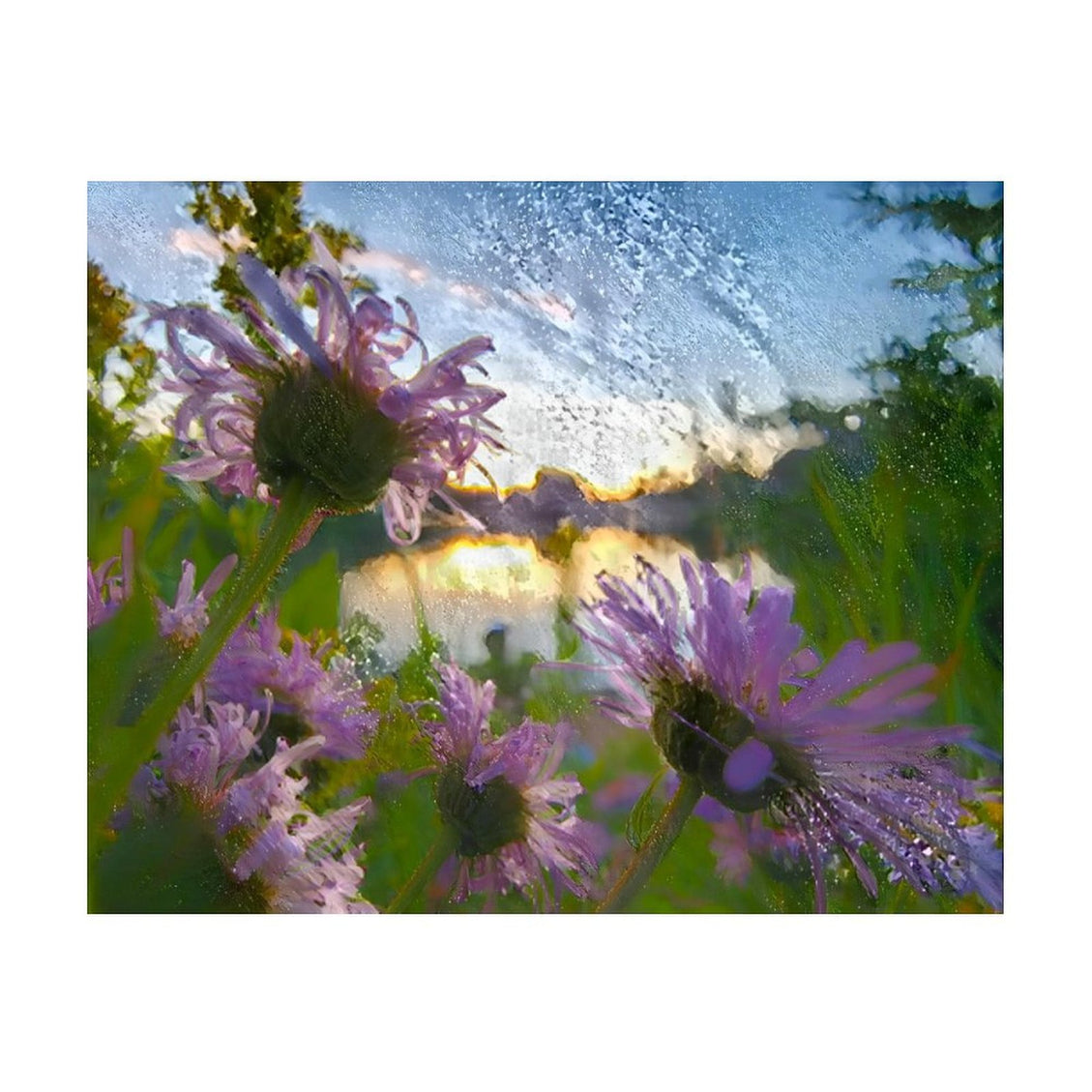 Design Diamond Painting 20"×16"(Horizontal) Asters Sylvan Lake