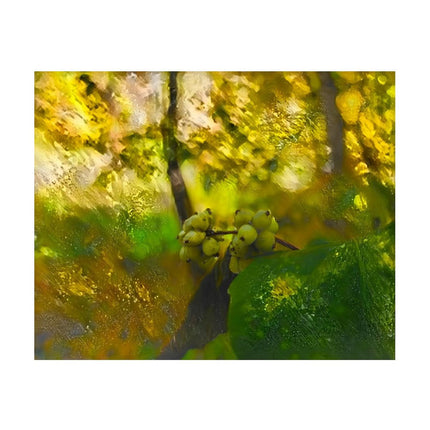 Design Diamond Painting 20"×16"(Horizontal) Spearfish Canyon Foliage