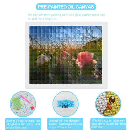 Design Diamond Painting 20"×16"(Horizontal) Cacti in Bloom Hugh Glass Park